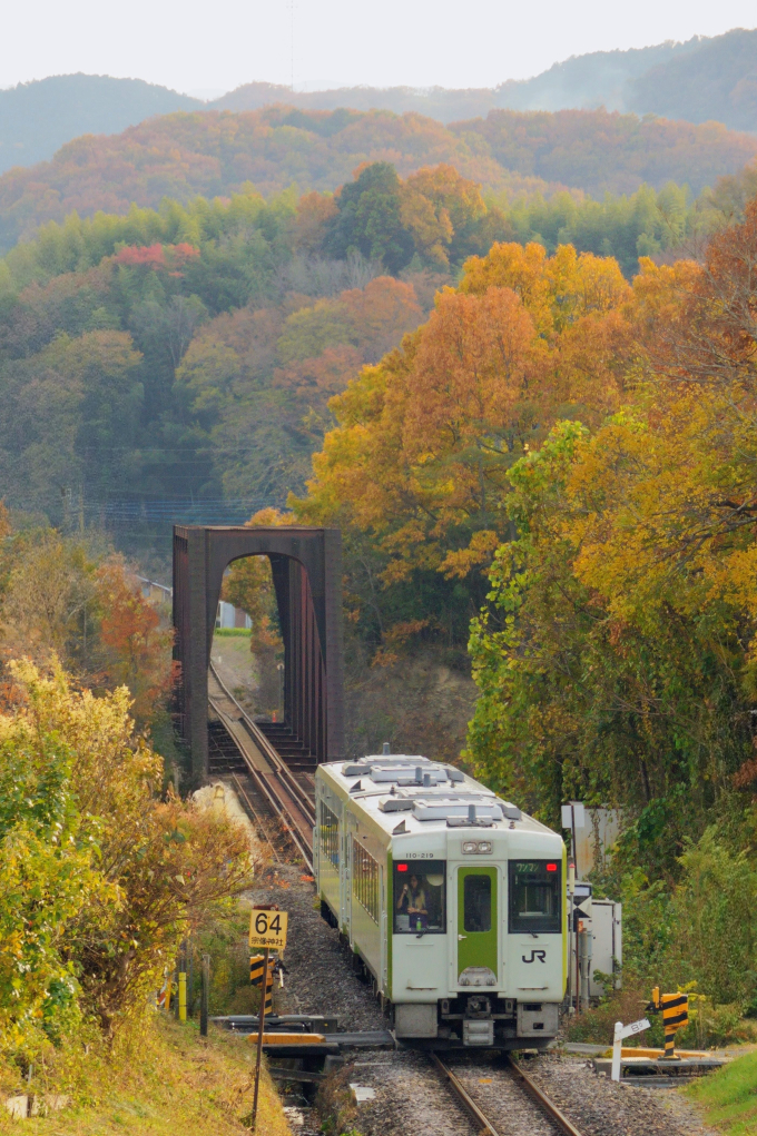JR東日本 キハ110-219 (キハ100・110系) 車両ガイド | レイルラボ(RailLab)
