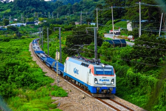 韓国鉄道公社 8500形電気機関車 8564 鉄道フォト・写真 by Hyukさん ：2022年08月01日17時ごろ