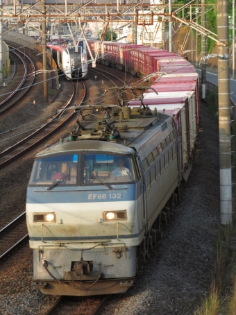 JR貨物 国鉄EF66形電気機関車 EF66-132 鉄道フォト・写真 by ディーノさん 戸塚駅 (JR)：2022年06月02日05時ごろ