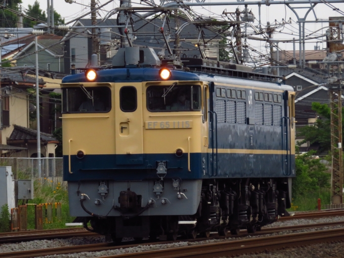 JR東日本 国鉄EF65形電気機関車 EF65-1115 鉄道フォト・写真 by ディーノさん 戸塚駅 (JR)：2022年05月19日17時ごろ