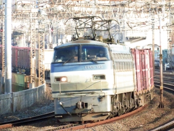 JR貨物 国鉄EF66形電気機関車 EF66-125 鉄道フォト・写真 by ディーノさん 戸塚駅 (JR)：2022年03月12日06時ごろ