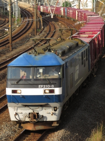 JR貨物 EF210形 EF210-8 鉄道フォト・写真 by ディーノさん 戸塚駅 (JR)：2022年06月02日06時ごろ
