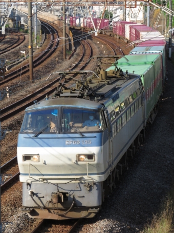 JR貨物 国鉄EF66形電気機関車 EF66-125 鉄道フォト・写真 by ディーノさん 戸塚駅 (JR)：2022年06月02日06時ごろ