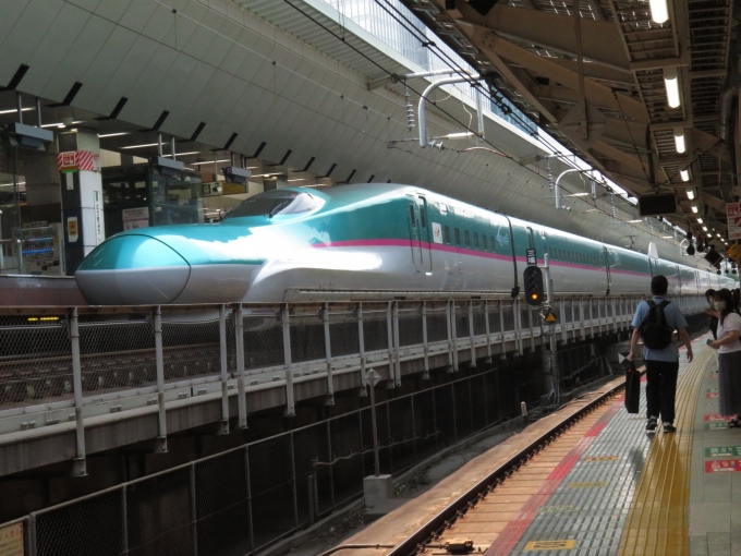 JR東日本 E5系新幹線電車 E5系 鉄道フォト・写真 by ディーノさん 東京駅 (JR)：2022年07月02日10時ごろ