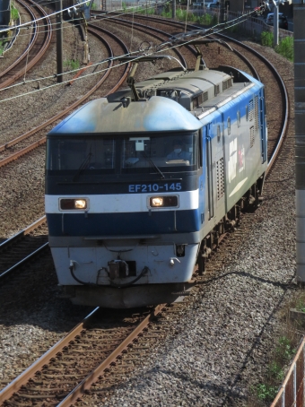 JR貨物EF210形電気機関車 EF210-145 鉄道フォト・写真 by ディーノさん 戸塚駅 (JR)：2022年07月10日15時ごろ
