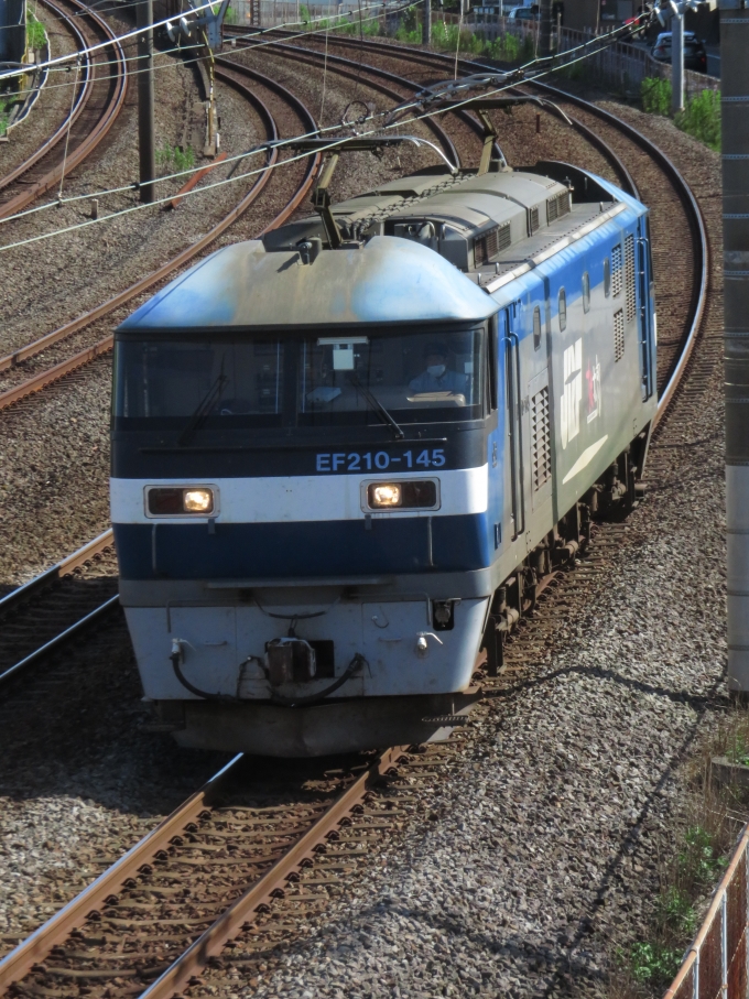 JR貨物EF210形電気機関車 EF210-145 鉄道フォト・写真 by ディーノさん 戸塚駅 (JR)：2022年07月10日15時ごろ