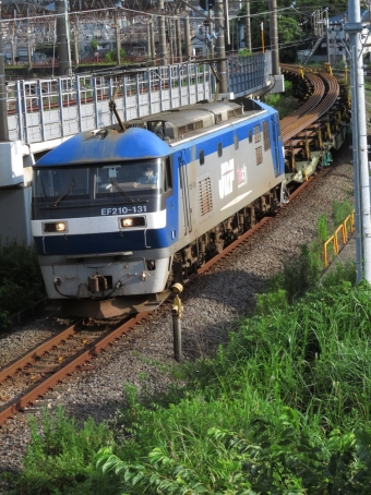 JR貨物EF210形電気機関車 EF210-131 鉄道フォト・写真 by ディーノさん 大船駅 (JR)：2022年07月11日16時ごろ