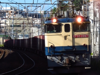 JR貨物 国鉄EF65形電気機関車 EF65-2097 鉄道フォト・写真 by ディーノさん 戸塚駅 (JR)：2022年07月29日06時ごろ
