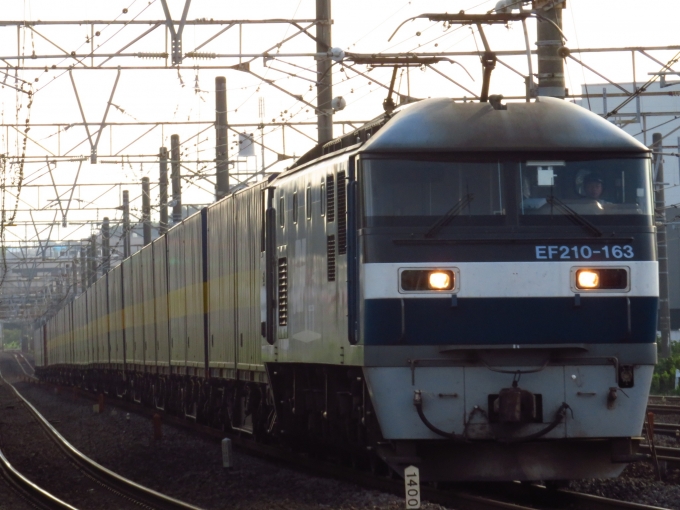 JR貨物EF210形電気機関車 カンガルーライナー EF210-163 鉄道フォト・写真 by ディーノさん 戸塚駅 (JR)：2022年08月20日06時ごろ