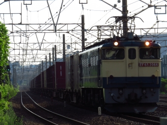 JR貨物 国鉄EF65形電気機関車 EF65-2066 鉄道フォト・写真 by ディーノさん 戸塚駅 (JR)：2022年08月20日07時ごろ