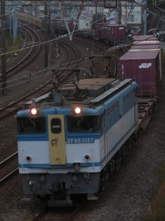 JR貨物 国鉄EF65形電気機関車 EF65-2127 鉄道フォト・写真 by ディーノさん 戸塚駅 (JR)：2023年11月05日06時ごろ