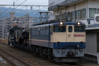 JR貨物 国鉄EF65形電気機関車 EF65 2089 鉄道フォト・写真 by おはぎさん 三島駅 (JR)：2023年11月10日08時ごろ