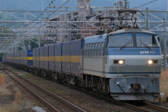 JR貨物 国鉄EF66形電気機関車 EF66 117 鉄道フォト・写真 by おはぎさん 三島駅 (JR)：2023年11月10日08時ごろ