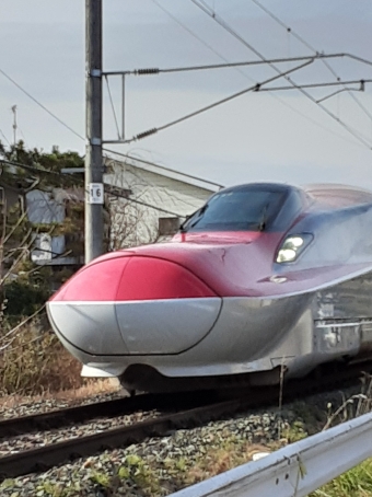 JR東日本 E6系新幹線電車 こまち 鉄道フォト・写真 by MINATO東北鉄道さん ：2021年11月21日11時ごろ