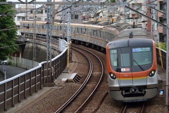 東京メトロ17000系 鉄道フォト・写真 by とりごもくさん 東白楽駅：2022年05月19日15時ごろ