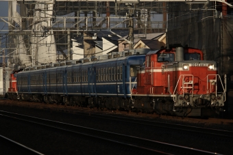 JR西日本 国鉄DD51形ディーゼル機関車 DD51 1183 鉄道フォト・写真 by けーはんなさん 千里丘駅：2023年02月07日16時ごろ