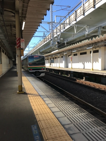JR東日本 クハE231形 クハE231-8040 鉄道フォト・写真 by くらぼんぼんさん ：2021年11月28日10時ごろ