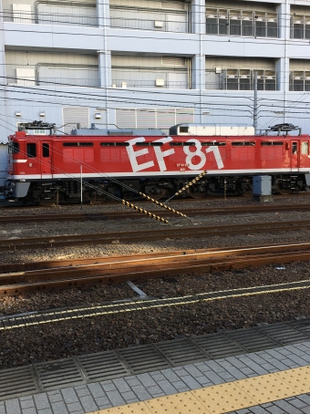 JR貨物 国鉄EF81形電気機関車 EF81-95 鉄道フォト・写真 by くらぼんぼんさん 水戸駅 (JR)：2022年01月04日13時ごろ