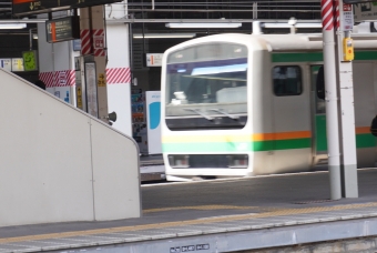 JR東日本E231系電車 鉄道フォト・写真 by くらぼんぼんさん 高崎駅 (JR)：2022年03月06日13時ごろ