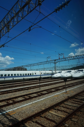 JR東海 700系新幹線電車 鉄道フォト・写真 by くらぼんぼんさん ：2018年08月14日13時ごろ