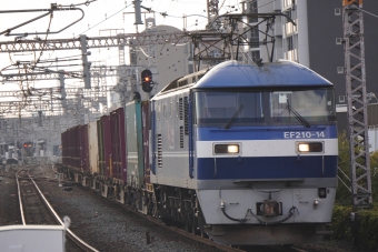 JR貨物 EF210形 EF210-14 鉄道フォト・写真 by くらぼんぼんさん 野田駅 (JR)：2022年11月04日14時ごろ