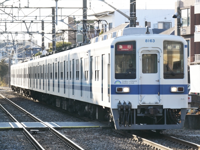 鉄道フォト・写真：東武鉄道 東武8000系電車 8163 大宮公園駅 鉄道フォト・写真 by くらぼんぼんさん - 撮影日 2023/02/05 15:46