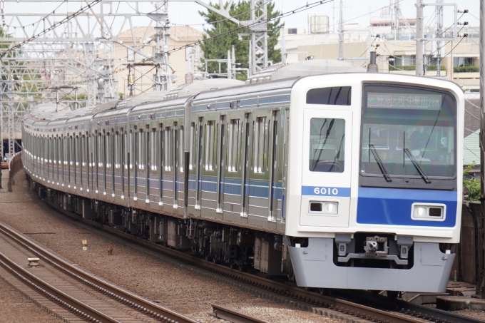 鉄道フォト・写真：西武鉄道 西武6000系電車 6010 多摩川駅 鉄道フォト・写真 by くらぼんぼんさん - 撮影日 2024/06/16 10:15