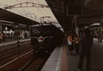 国鉄 EF58 踊り子(特急) EF58-61 鉄道フォト・写真 by abikoshiyさん 横浜駅 (JR)：1984年08月04日06時ごろ