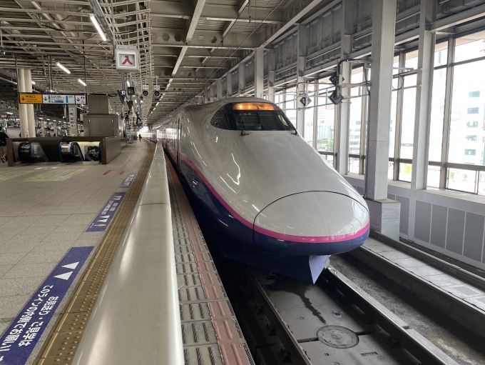 JR東日本 E224形(T2c) E224-1119 鉄道フォト・写真 by abikoshiyさん 仙台駅 (JR)：2023年09月09日08時ごろ