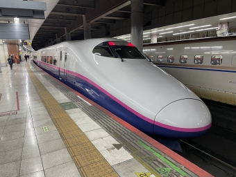 JR東日本 E223形(T1c) E223-1025 鉄道フォト・写真 by abikoshiyさん 上野駅 (JR)：2024年04月13日06時ごろ