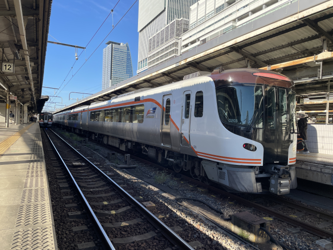 HC85系 D203編成 (名古屋車両区) 徹底ガイド | レイルラボ(RailLab)
