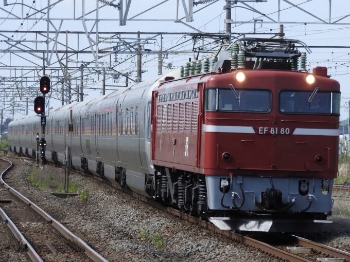 JR東日本 国鉄EF81形電気機関車 鉄道フォト・写真 by かいそくうみかぜさん ：2024年05月26日14時ごろ