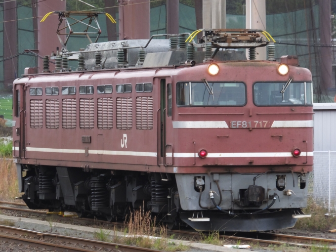 JR貨物 国鉄EF81形電気機関車 EF81 717 鹿児島駅 鉄道フォト・写真 by 
