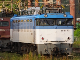 JR貨物 国鉄EF81形電気機関車 EF81 501 鉄道フォト・写真 by スーパーシロワニさん 鹿児島駅：2021年10月04日17時ごろ