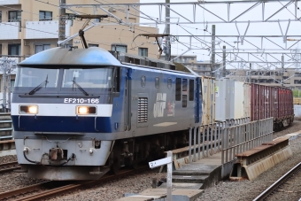 JR貨物 EF210形 EF210-166 鉄道フォト・写真 by スーパーシロワニさん 八丁畷駅 (JR)：2023年03月25日17時ごろ