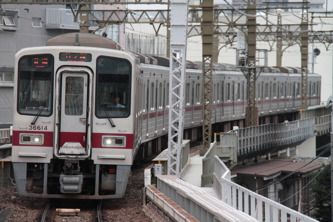 鉄道フォト・写真：東武鉄道 東武30000系電車 36614 とうきょうスカイツリー駅 鉄道フォト・写真 by trdamさん - 撮影日 2013/08/25 15:35