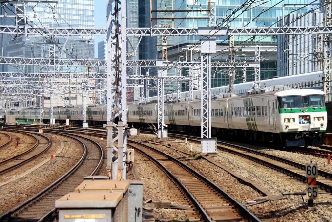 鉄道フォト・写真：JR東日本 国鉄185系電車 踊り子 クハ185-11 有楽町駅 (JR) 鉄道フォト・写真 by trdamさん - 撮影日 2015/04/02 12:01