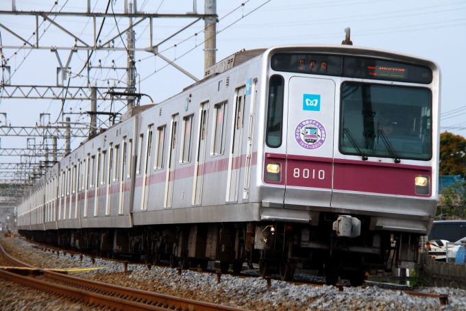 車輌定員エンブレム 鉄道 東京メトロ 営団8000系電車 8010 杉戸高野台駅 鉄道フォト・写真 by