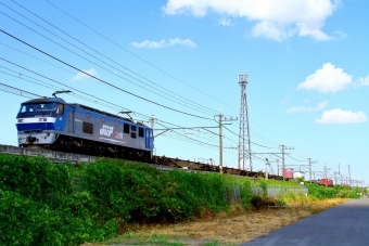 JR貨物 EF210形 EF210-173 鉄道フォト・写真 by trdamさん 東川口駅 (JR)：2021年07月25日14時ごろ