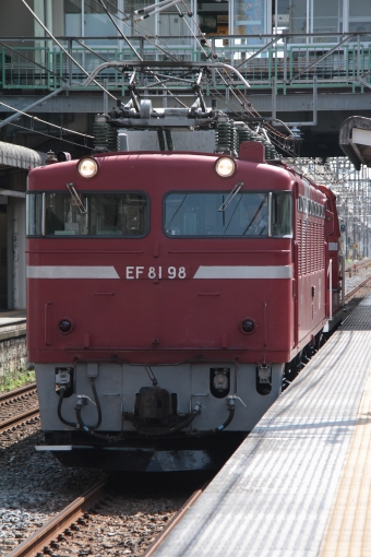 JR東日本 国鉄EF81形電気機関車 EF81 98 鉄道フォト・写真 by trdamさん 石橋駅 (栃木県)：2013年09月10日13時ごろ