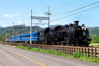 C11 207 鉄道フォト・写真