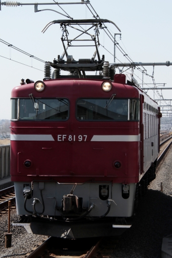 JR東日本 国鉄EF81形電気機関車 EF81 97 鉄道フォト・写真 by trdamさん 越谷レイクタウン駅：2013年03月12日12時ごろ