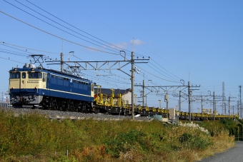 JR東日本 国鉄EF65形電気機関車 EF65 1102 鉄道フォト・写真 by trdamさん 東川口駅 (JR)：2014年11月19日13時ごろ