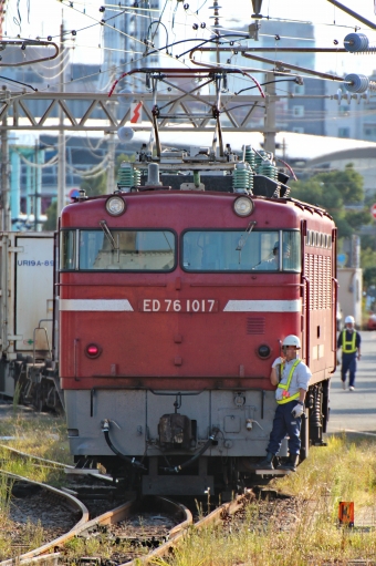 JR貨物 国鉄ED76形電気機関車 ED76 1017 鉄道フォト・写真 by シロワニさん ：2022年10月22日15時ごろ