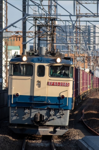 JR貨物 国鉄EF65形電気機関車 EF65 鉄道フォト・写真 by かいきゅーさん 八丁畷駅 (JR)：2023年02月01日15時ごろ