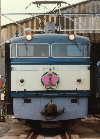 さくら(特急) 鉄道フォト・写真