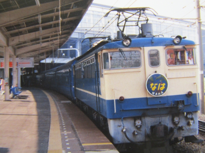 鉄道フォト・写真：JR西日本 国鉄EF65形電気機関車 なは EF65 1136 新大阪駅 (JR) 鉄道フォト・写真 by I love 阪急電車さん - 撮影日 1989/06/18 00:00