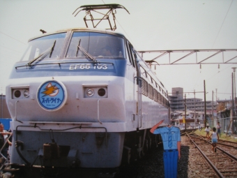 JR西日本 国鉄EF66形電気機関車 EF66 103 鉄道フォト・写真 by I love 阪急電車さん 新大阪駅 (JR)：1989年09月28日00時ごろ