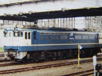 JR貨物 国鉄EF65形電気機関車 EF65 1133 鉄道フォト・写真 by I love 阪急電車さん 米原駅 (JR)：1989年06月18日00時ごろ
