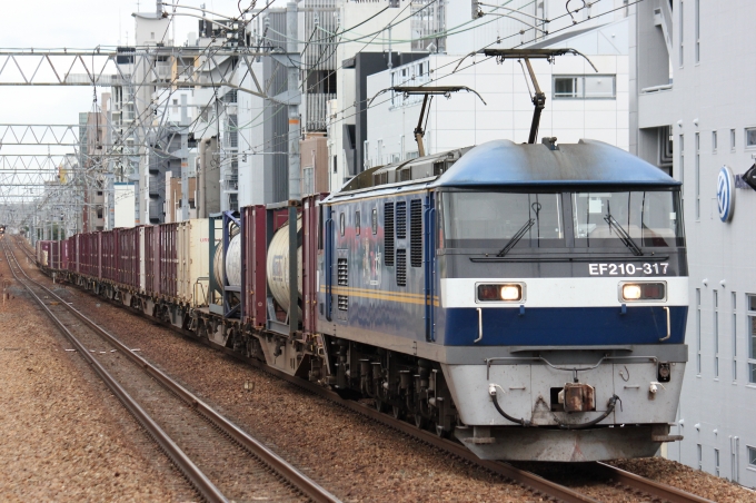 鉄道フォト・写真：JR貨物EF210形電気機関車 EF210-317 さくら夙川駅 鉄道フォト・写真 by I love 阪急電車さん - 撮影日 2023/10/09 14:32